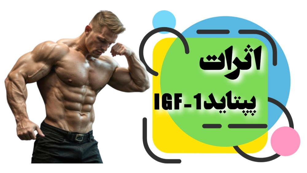 برخی اثرات IGF-1 بر روی سیستم های اصلی بدن