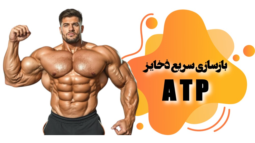 بازیابی سریعتر ذخایر ATP