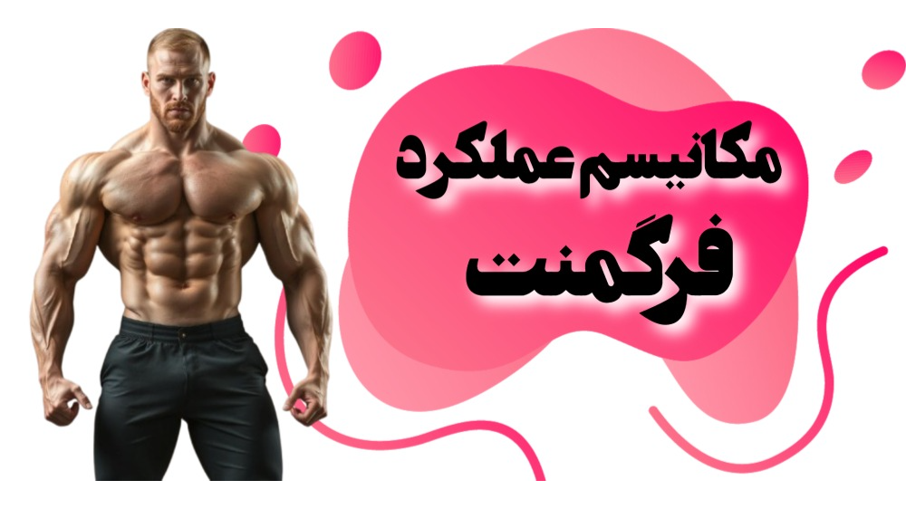 مکانیسم کار فرگمنت