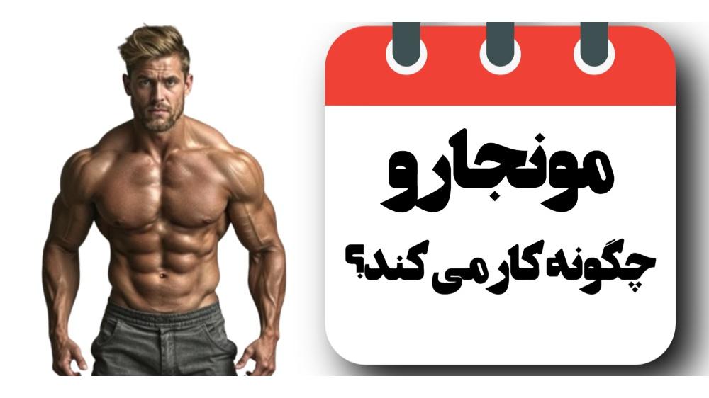 مونجارو چگونه کار می‌کند؟