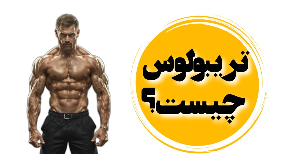 تریبولوس چیست ؟
