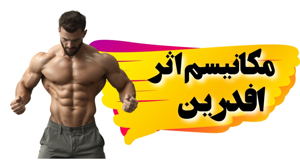 مکانیزم اثر افدرین