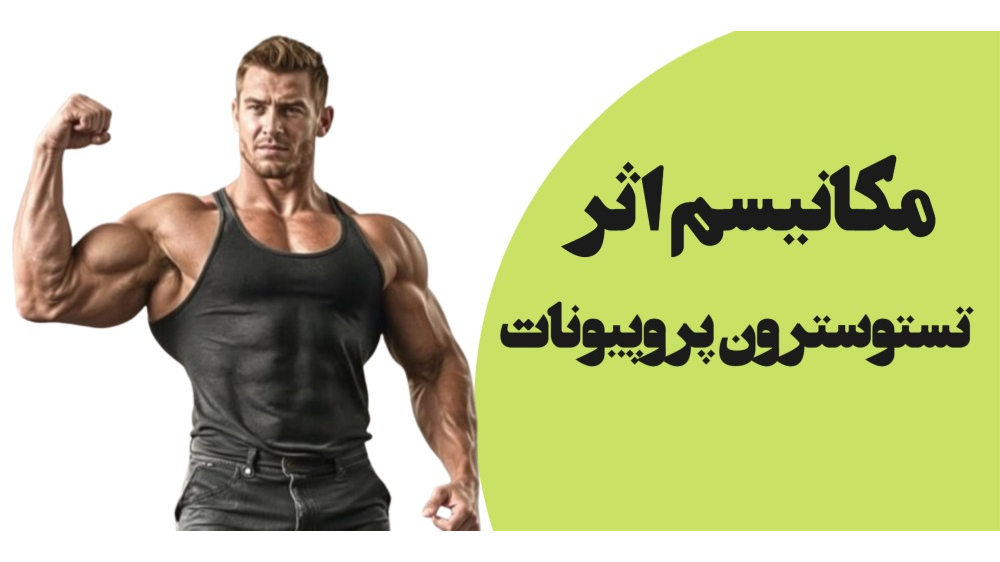 مکانیسم اثر تستوسترون پروپیونات