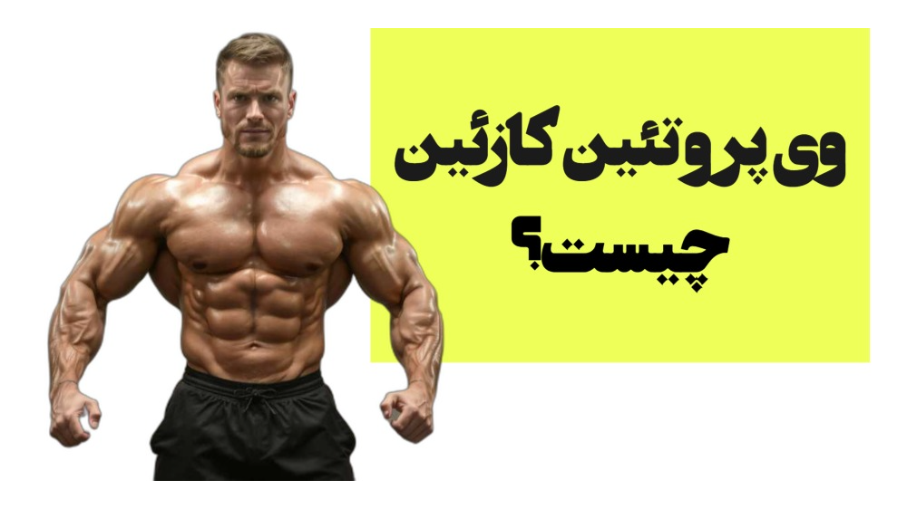 وی پروتئین یا کازئین؟