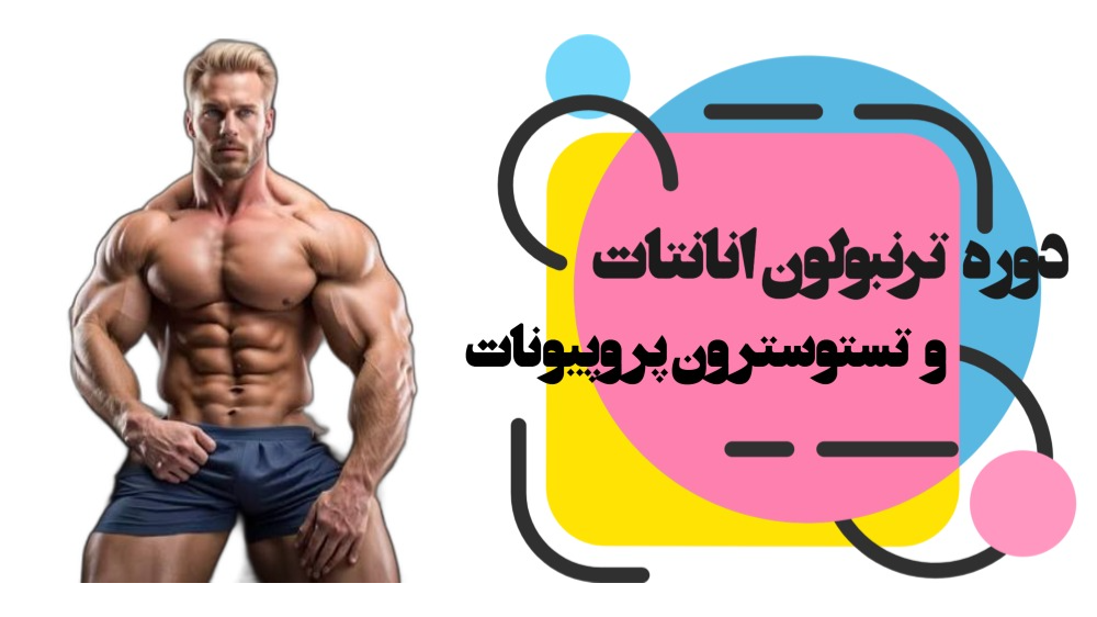 دوره ترنبولون انانتات و تستوسترون پروپیونات