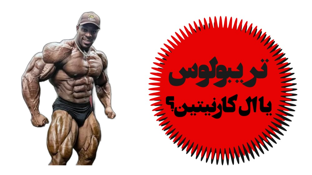 تریبولوس یا ال کارنتین کدام بهتر است؟