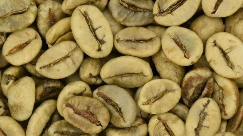 راهنمای مصرف قهوه سبز ویتنام