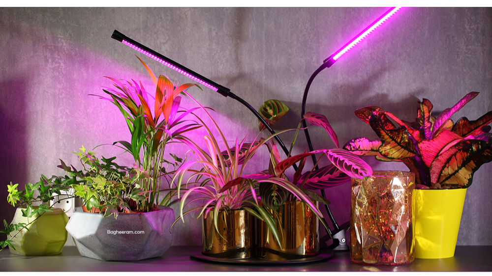 لامپ رشد گیاه چیست؟