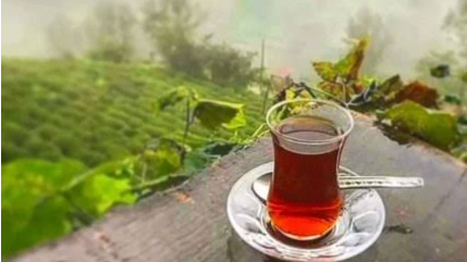 چرا چای ایرانی دیرتر رنگ می‌دهد؟ حقیقتی که باید بدانید