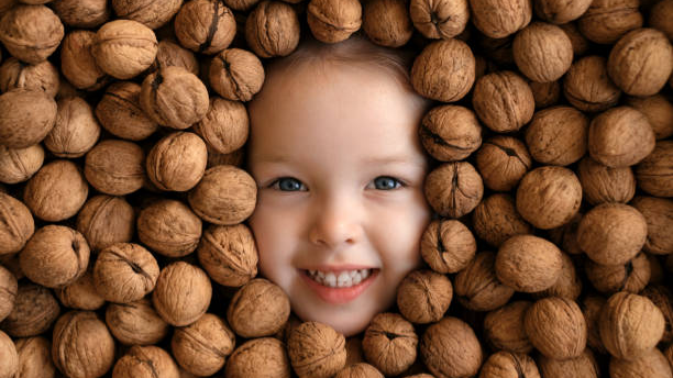 خواص گردو برای کودکان و مقدار مجاز مصرف آن