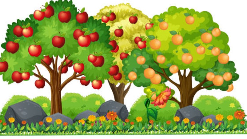 اشتباهات کوددهی که باید از آن‌ها اجتناب کنید