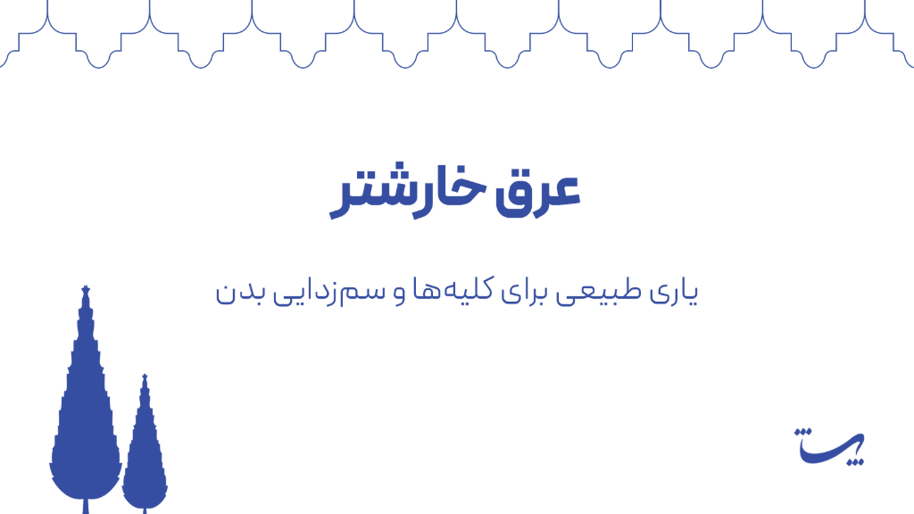 عرق خارشتر پاتیژ؛ یاری طبیعی برای کلیه‌ها و سم‌زدایی بدن