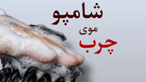 شامپو خارجی مناسب مو های چرب؛ انتخاب برتر از برند های معروف