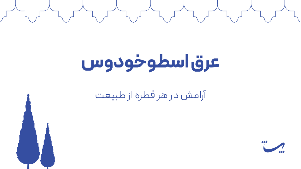 عرق اسطوخودوس پاتیژ؛ آرامش در هر قطره از طبیعت