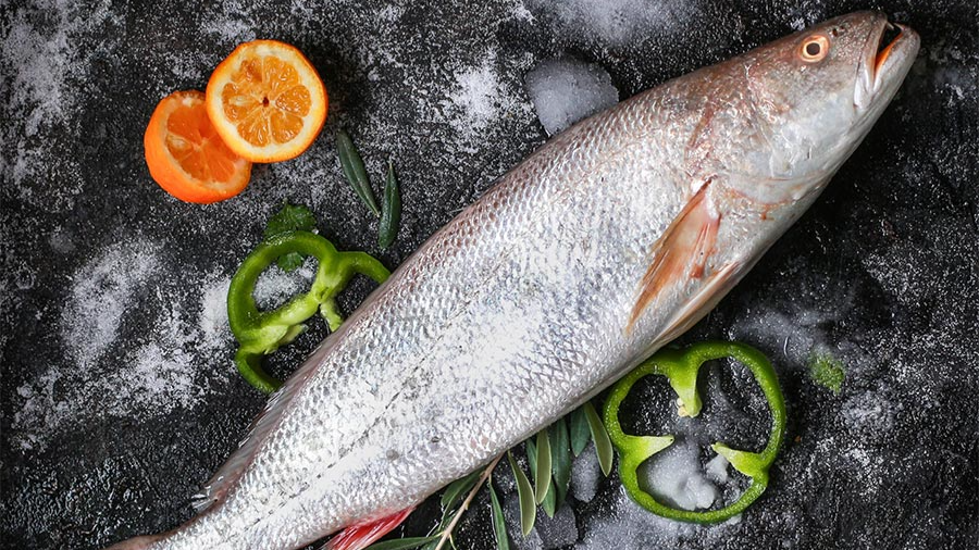 خرید ماهی شوریده بوشهر