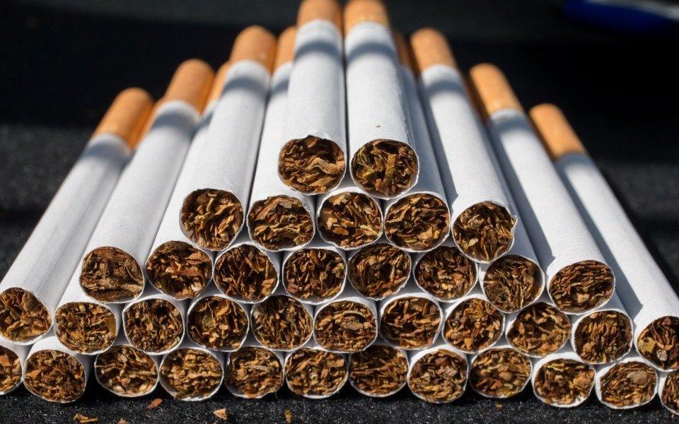 کنترل دما و رطوبت در فرآیند تولید تنباکو