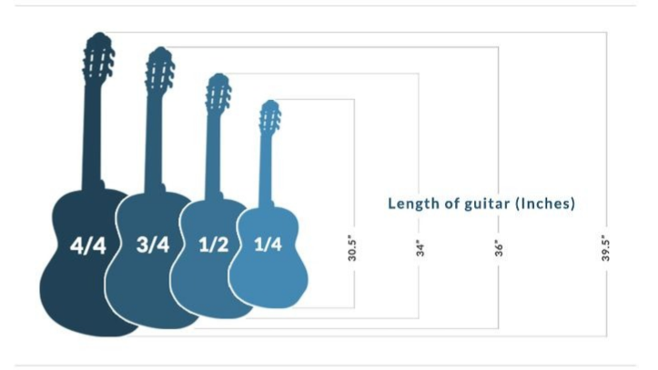 راهنمای کامل سایز گیتار: کدوم سایز گیتار برای شما مناسبتره؟