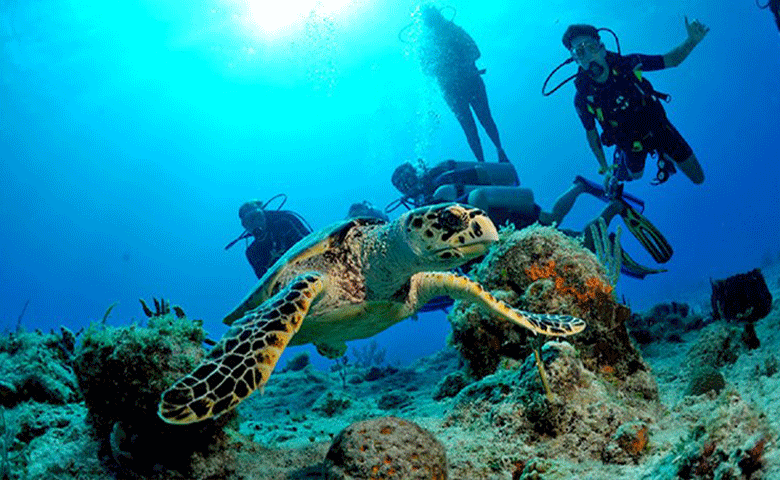 راهنمای کامل بهترین تفریحات قشم برای سفر اولی‌ها