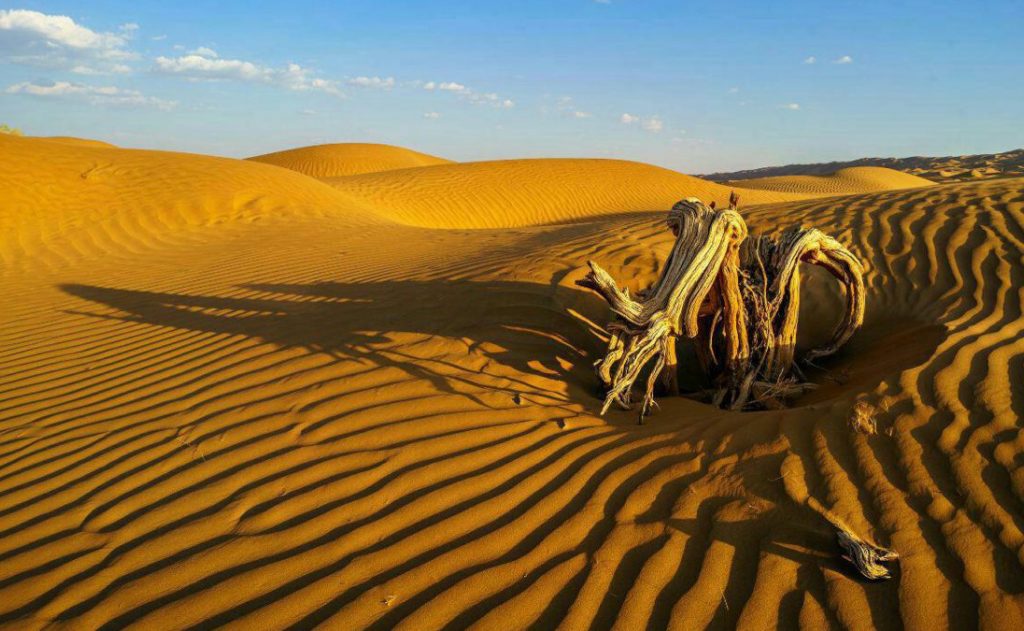 کویر لوت: راهنمای سفر، عکس، رمز و رازها و هر آنچه که برای سفر لازم دارید