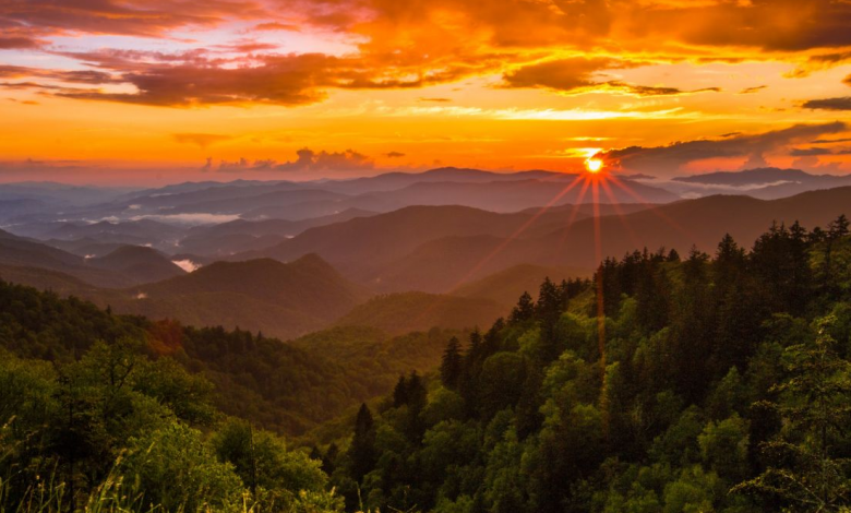 جنگل ابر شاهرود؛ راهنمای دسترسی، عکس و تمام جاذبههای آن