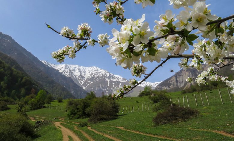 دشت دریاسر کجاست؟ آدرس بهشت اردیبهشتی ایران!