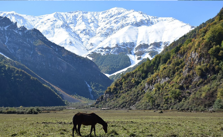 دریاسر تنکابن