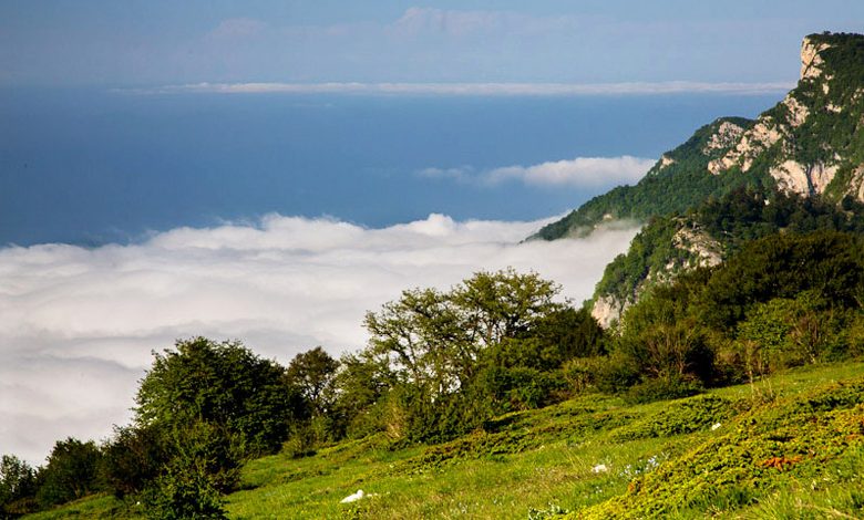 جاهای دیدنی گرگان؛ از دل سبز طبیعتش تا قلب تاریخ بی‌نظیرش!