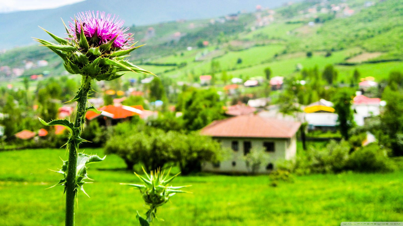 بهترین ویلاهای اجاره ای شمال را چطور رزرو کنیم؟