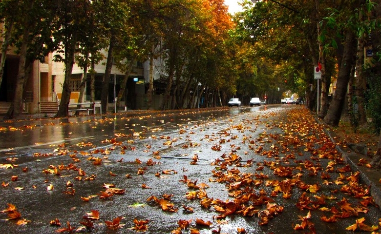 خیابان ولیعصر تهران در پاییز