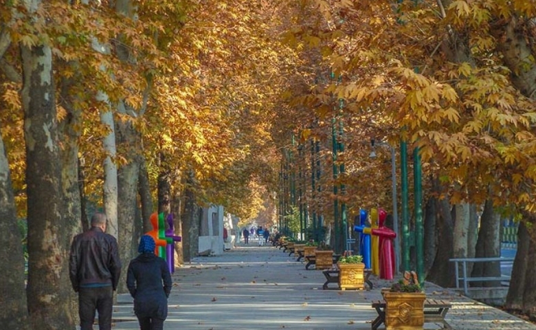 پیاده روی در خیابان ولیعصر