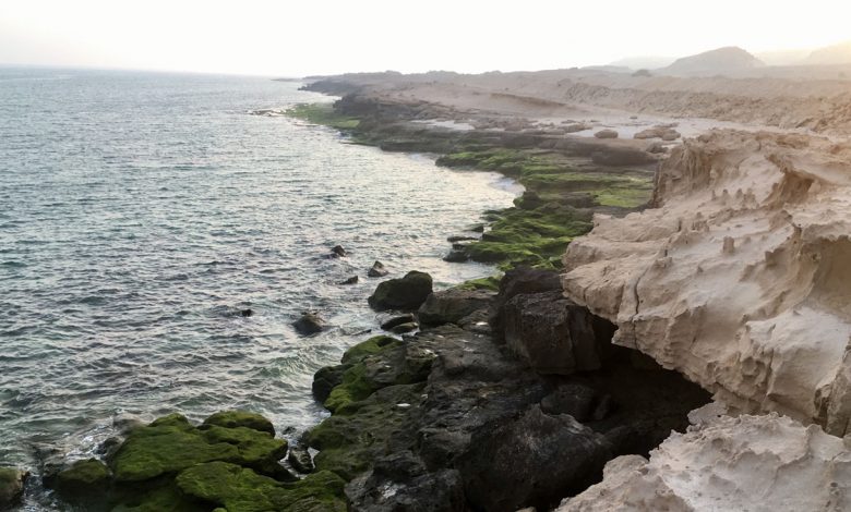 جزیره هنگام را حداقل یک بار باید دید! جاذبه ها و اقامتگاه های هنگام