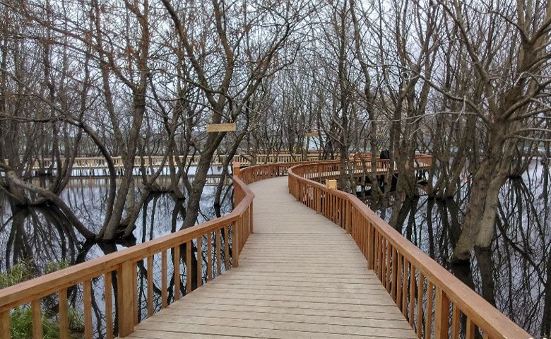 پارک بهشت پرندگان منطقه آزاد انزلی