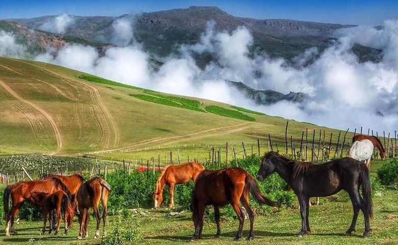 تابستان مسافرت شمال کجا بریم