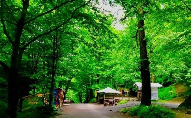 بوستان-جنگلی-صفارود-و-چشمه‌های-آب-معدنی.jpg
