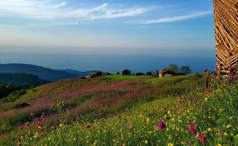 جنگل-و-دشت-جواهرده.jpg