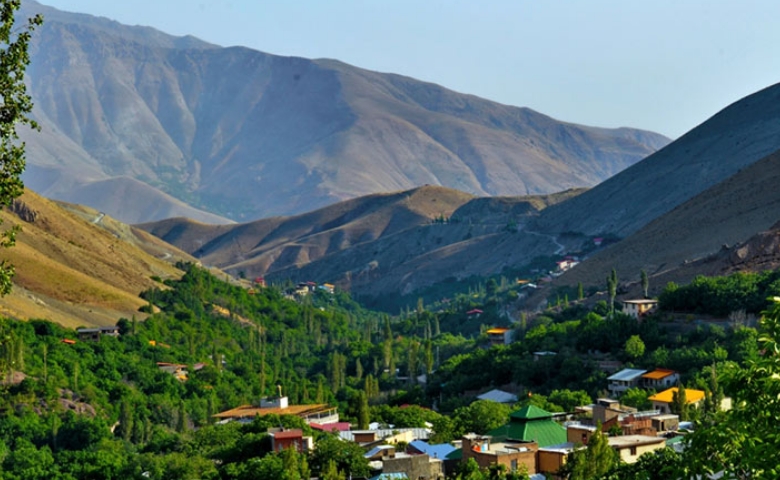 برگ جهان