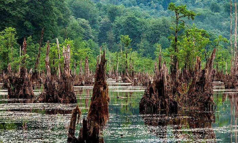 دریاچه ارواح واقعا وجود دارد؟ برای شکار روح آماده شوید!