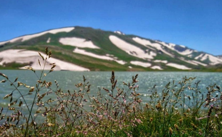 کوه دالامپر