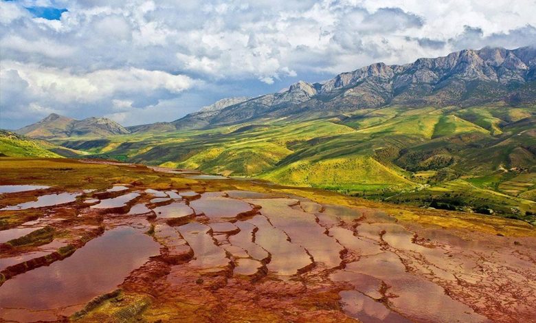 باداب سورت کجاست؟ شگفتی خاورمیانه با خواهران دوقلو در جهان!