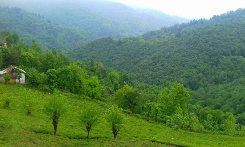 سیاهکل گیلان کجاست؟ داستان بیانتهای جنگل و رودخانه آبشار!