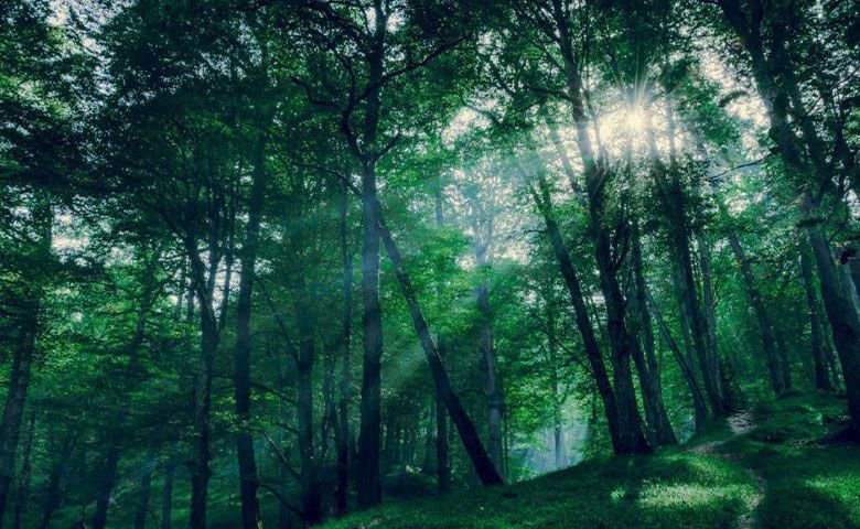 جاهای دیدنی رامسر؛ گشتوگذار در گوهر درخشان مازندران