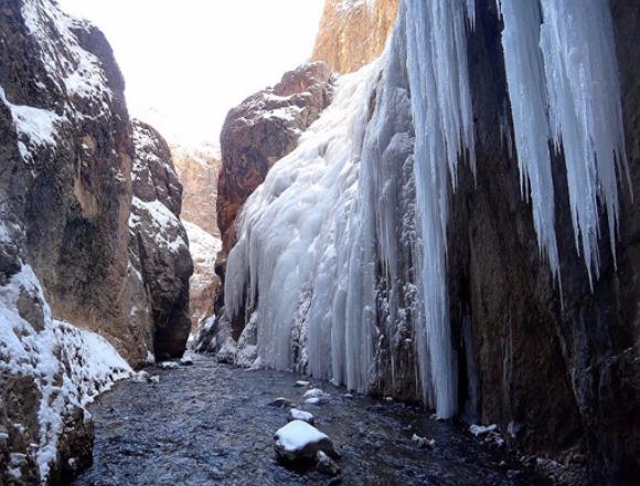 قندیلهای زمستانه