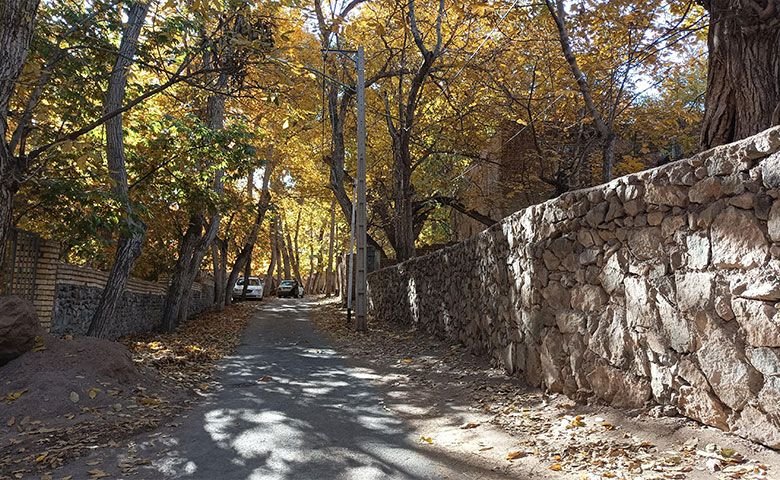 جاهای-دیدنی-روستای-طامه.jpg