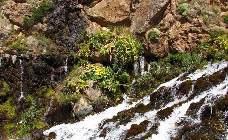 چشمه-لالگه.jpg