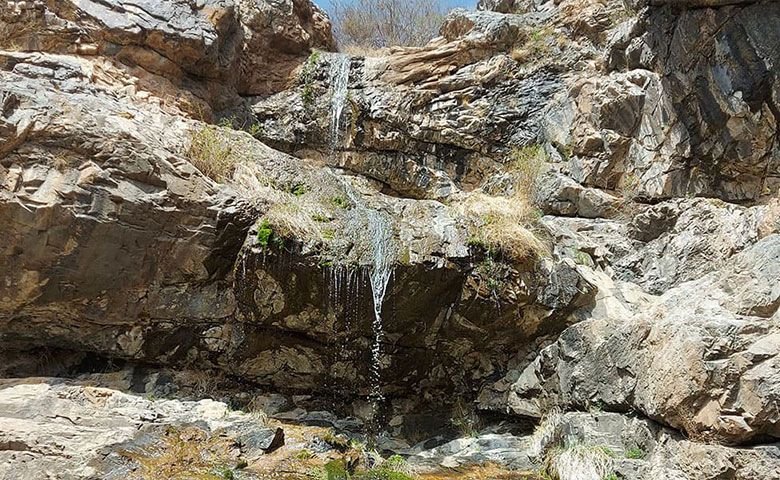 طبیعت‌گردی.jpg