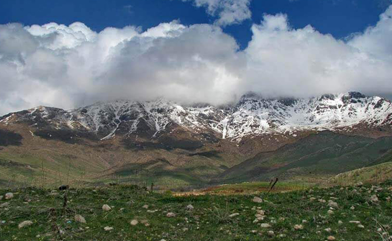 کوسالان وو شاهو سنندج