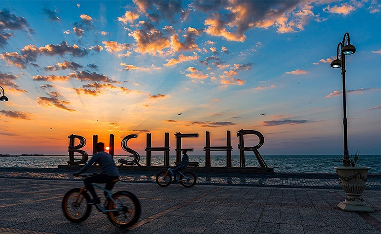 ماه عسل در بوشهر