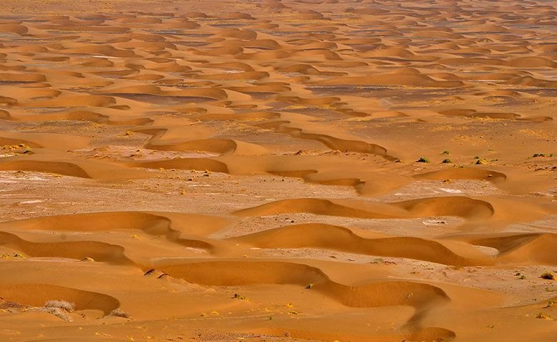 همه چیز درباره سفر به کویر لوت