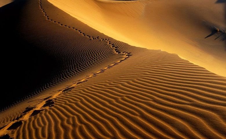 راه&zwnj;های دسترسی به کویر لوت