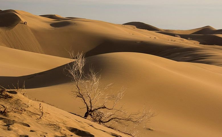 معرفی کویر لوت